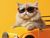  Calvin the Nexter Recruitment Cat  